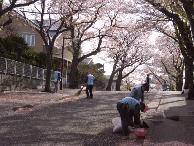 つくし野桜守りの会
