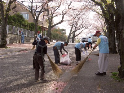 つくし野桜守りの会
