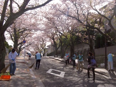 つくし野桜守りの会
