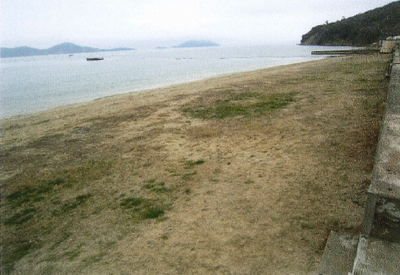 浦生自治会（浦生海岸クリーン隊）