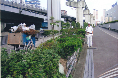 松葉町自治会