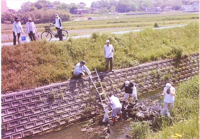 折戸川にホタルを飛ばそうの会