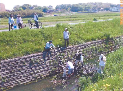 折戸川にホタルを飛ばそうの会