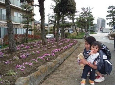 湘南の散歩道をきれいにする会 